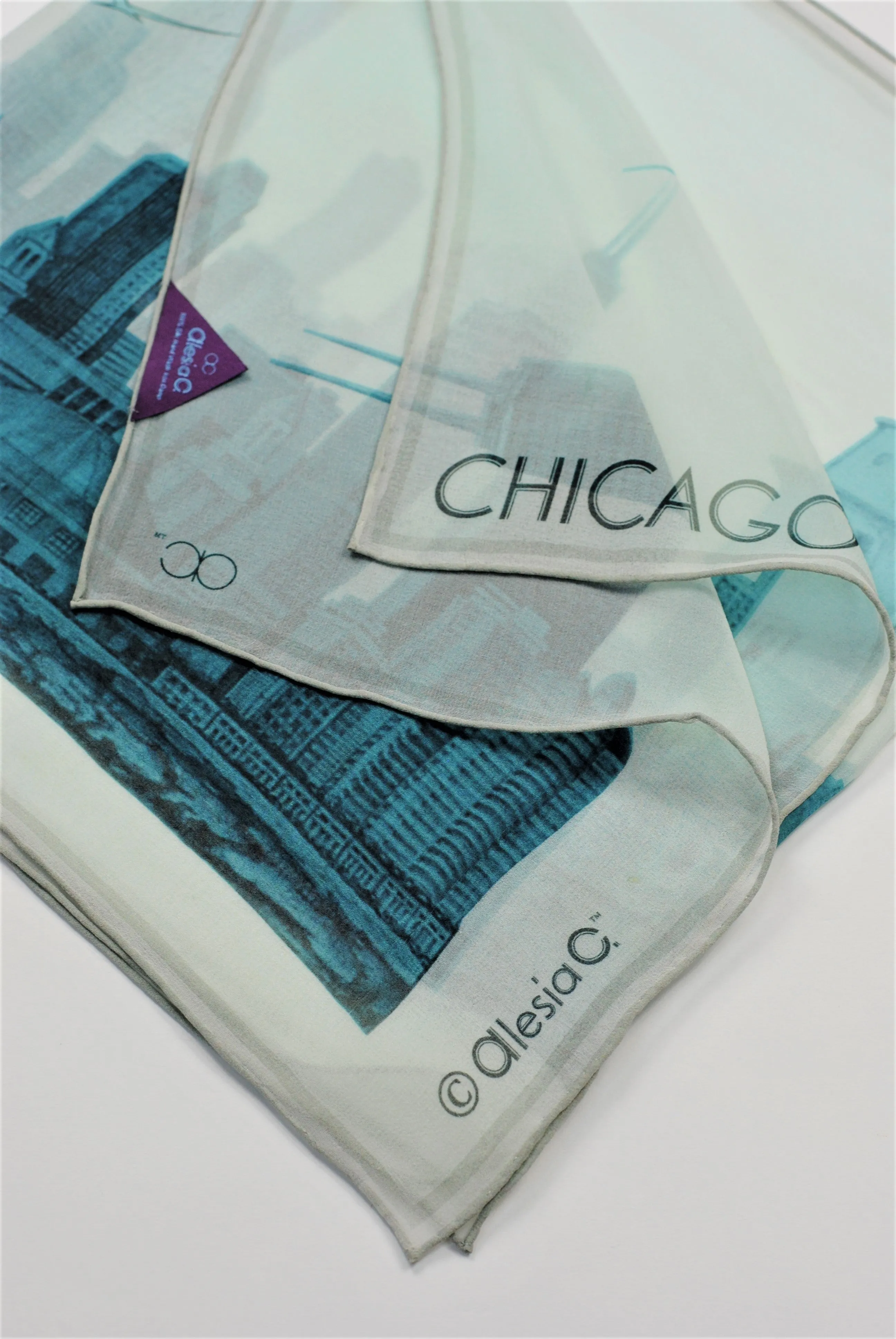 CHICAGO Skyline Designer 100% Silk Georgette Long Rectangle Scarf in Blue White