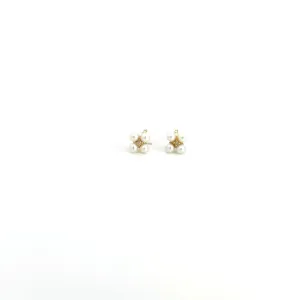 WD1080 14kt 4 Seed Pearls Stud